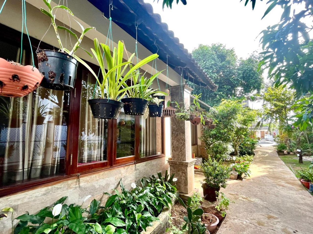 Nhat Huy Bungalow דואונג דונג מראה חיצוני תמונה